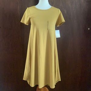 Brand new LulaRoe Carly